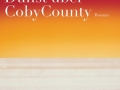 Leif Randt: Schimmernder Dunst über CobyCounty. 2011