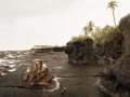 Erosion after logging of Mangroves, 2006
