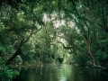 Taman Negara River, Malaysia, 2013