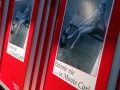 Graham Greene: Heirate nie in Monte Carlo