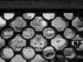 WEB_257A2575