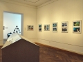 The Roma Image Studio 3