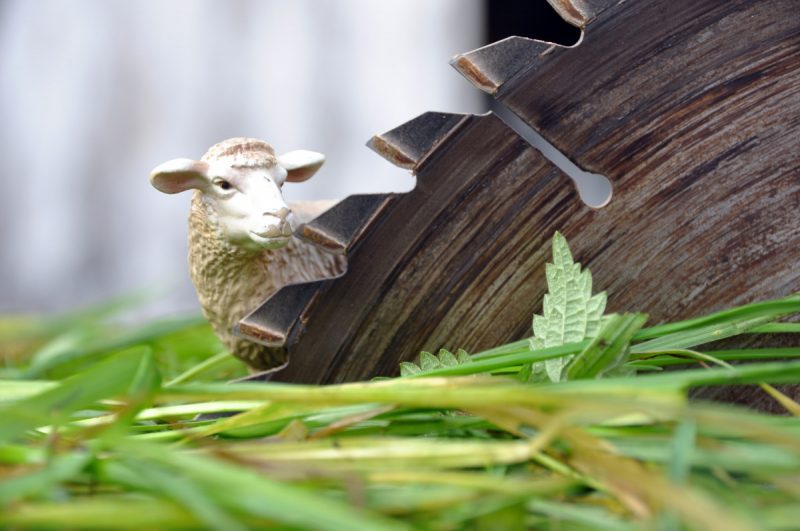Foto: Thomas Hummitzsch