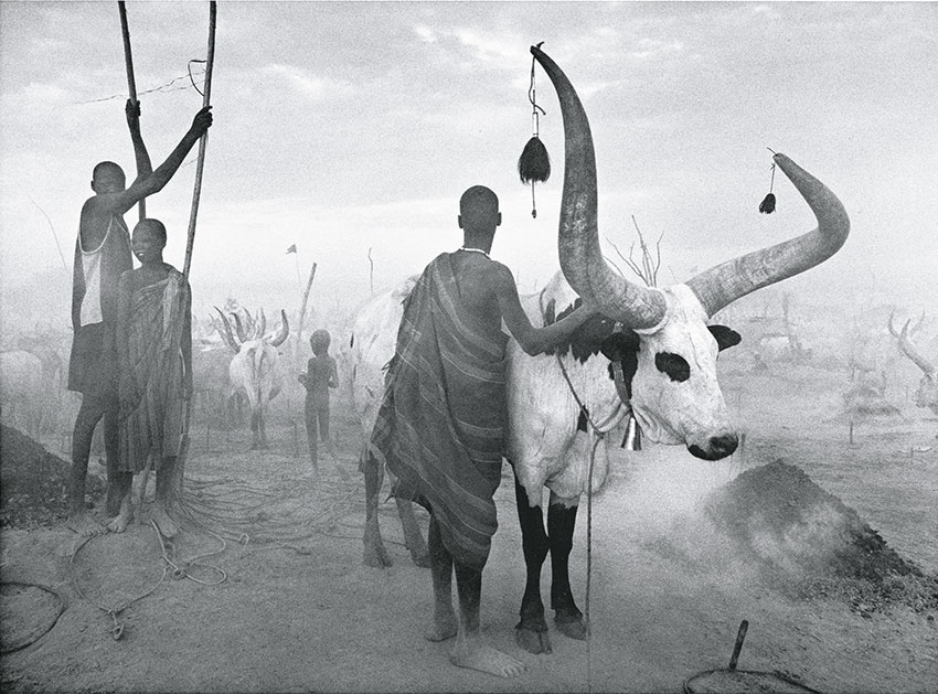 aus seinem Africa-Band | Photographs by Sebastião SALGADO / Amazonas images