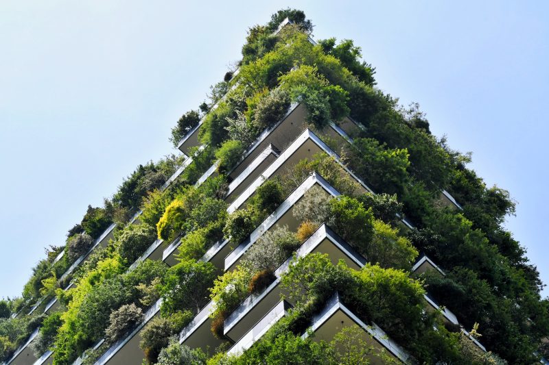 © Thomas Hummitzsch