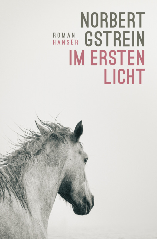 Norbert Gstrein: Im ersten Licht. Hanser Verlag 2026. 416 Seiten. 27,- Euro. Hier bestellen https://www.hanser-literaturverlage.de/buch/norbert-gstrein-im-ersten-licht-9783446282971-t-5846 