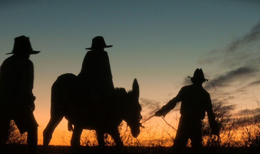 »Wolfram« von Warwick Thornton | © Bunya Productions