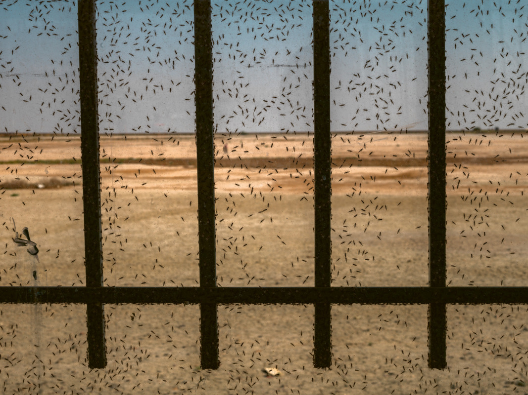 Uremia, 2017 © Newsha Tavakolian