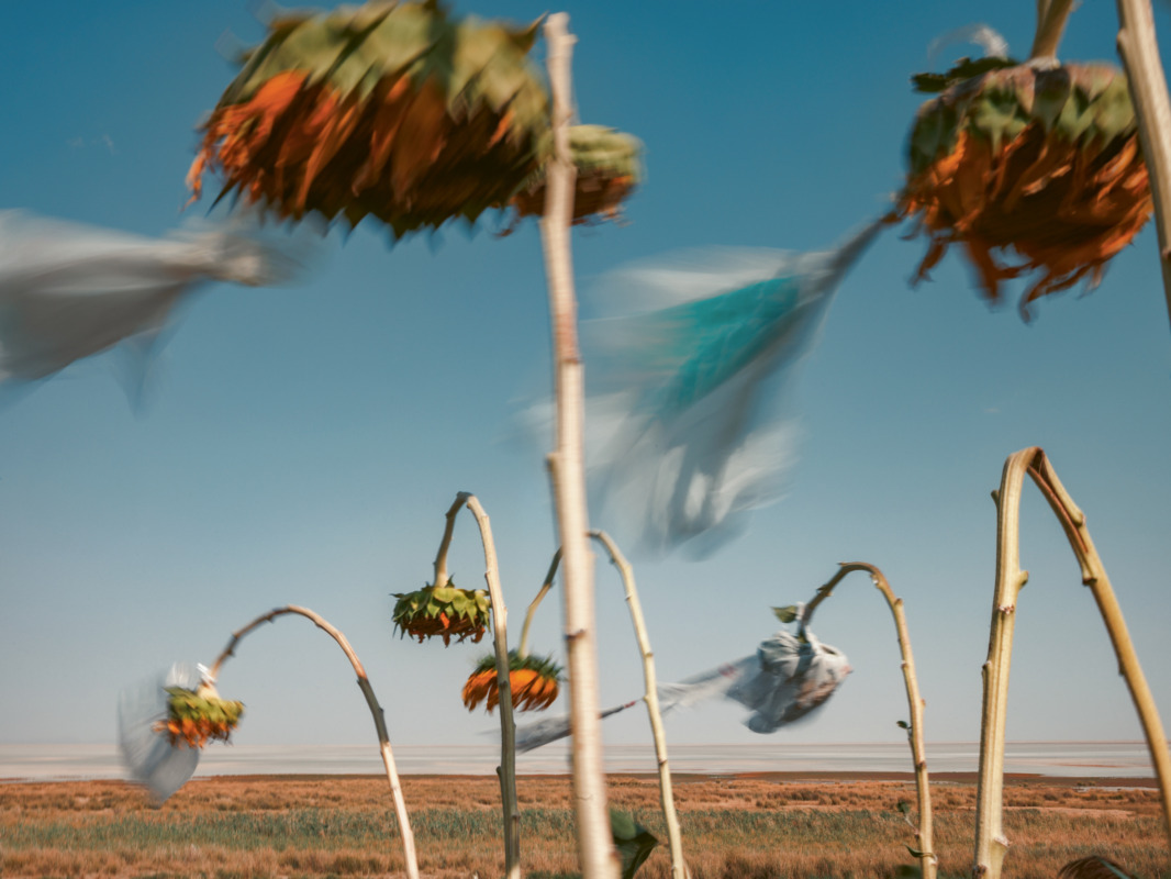 Uremia , 2017 © Newsha Tavakolian