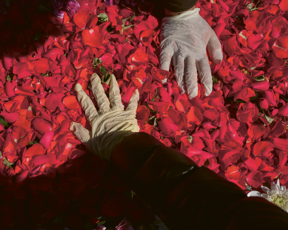 Behesht Zahra cemetery, 2019 © Newsha Tavakolian